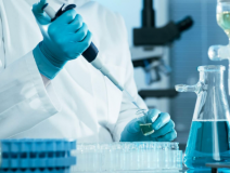 綠植真的能除甲醛嗎?